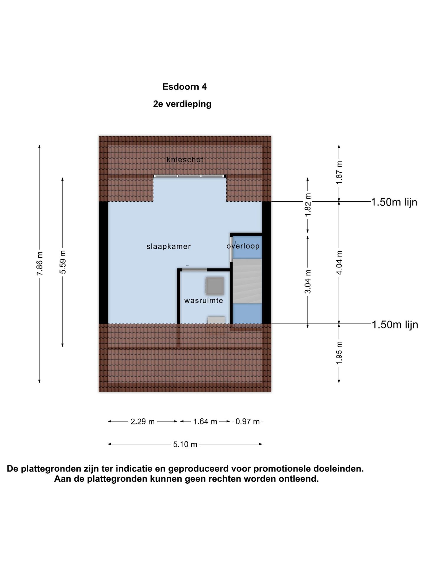 Foto 34 van Esdoorn 4