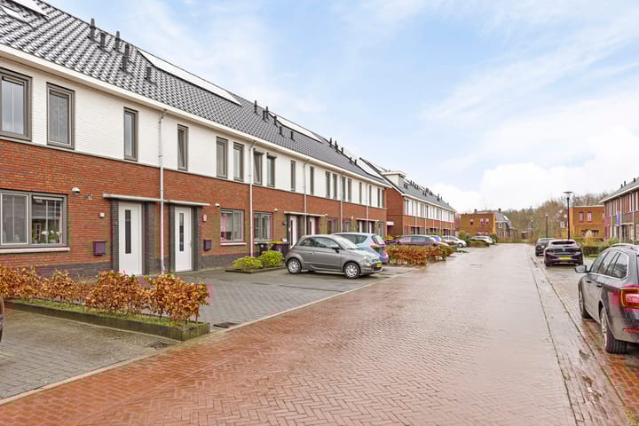 Foto 29 van Zengerij 9