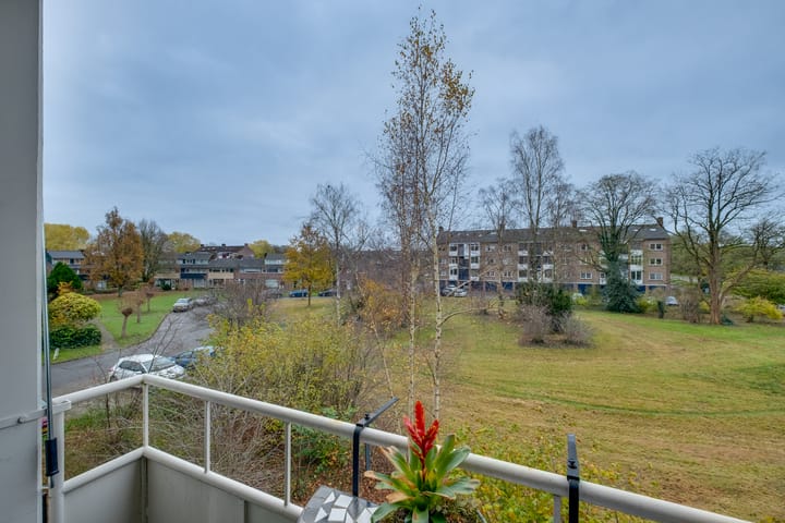 Foto 12 van Mezenlaan 87