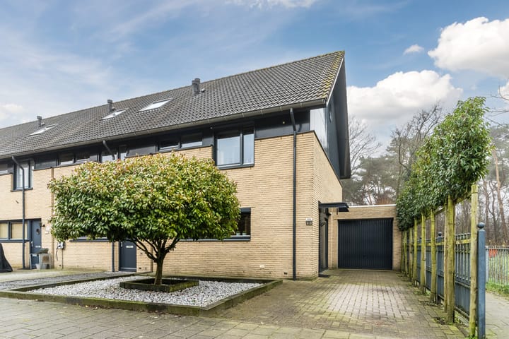 Foto 1 van Distelbergstraat 20