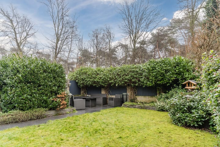 Foto 30 van Distelbergstraat 20