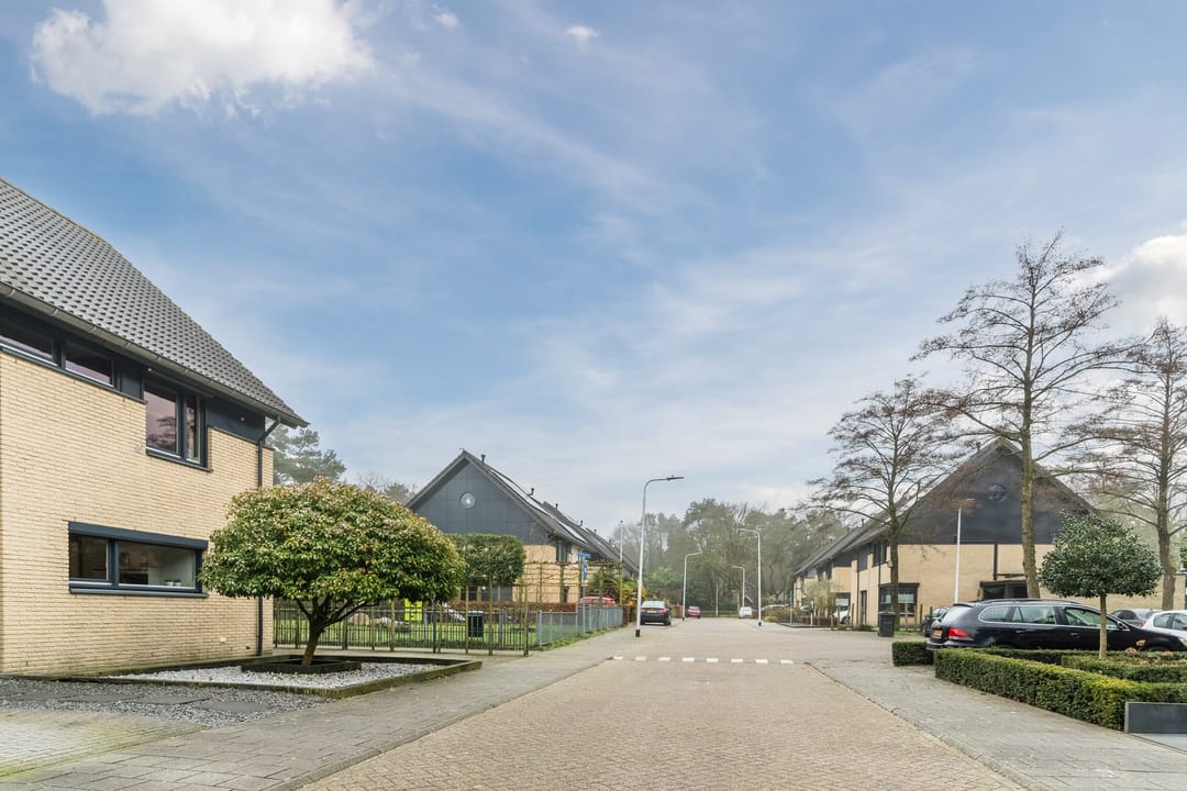 Foto 38 van Distelbergstraat 20