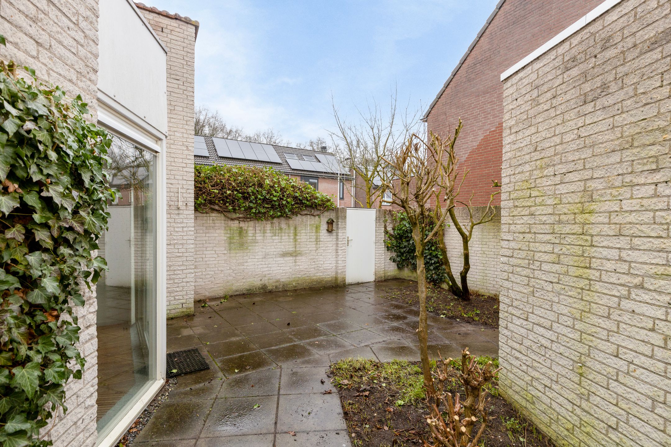 Foto 24 van Niers 54