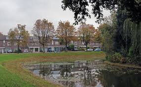 Foto 30 van Niers 54