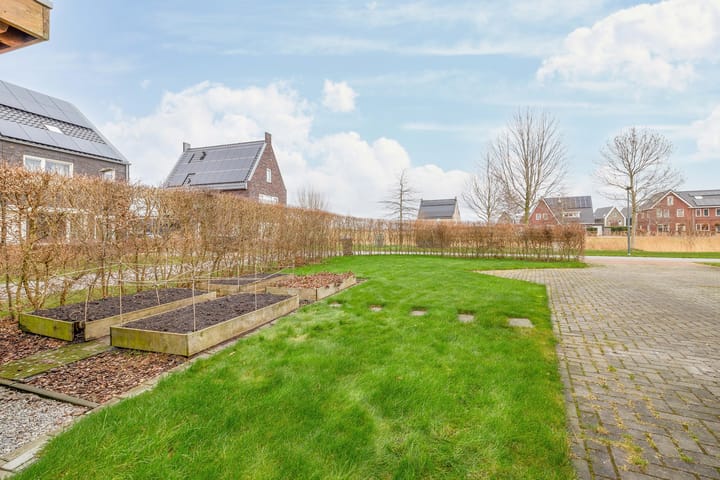 Foto 23 van Vederkruid 13