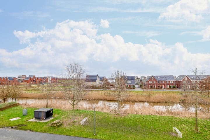 Foto 44 van Vederkruid 13