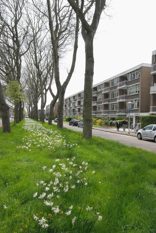 Foto 16 van Starrenburglaan 131