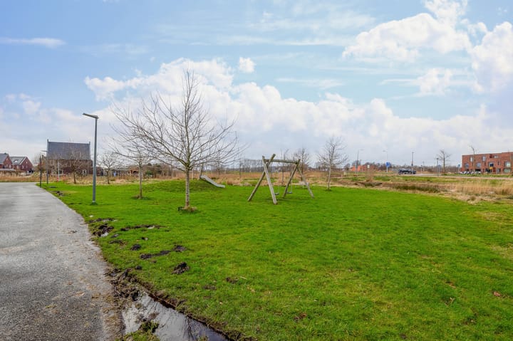 Foto 53 van Vederkruid 13