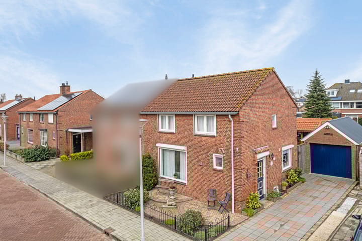 undefined main image