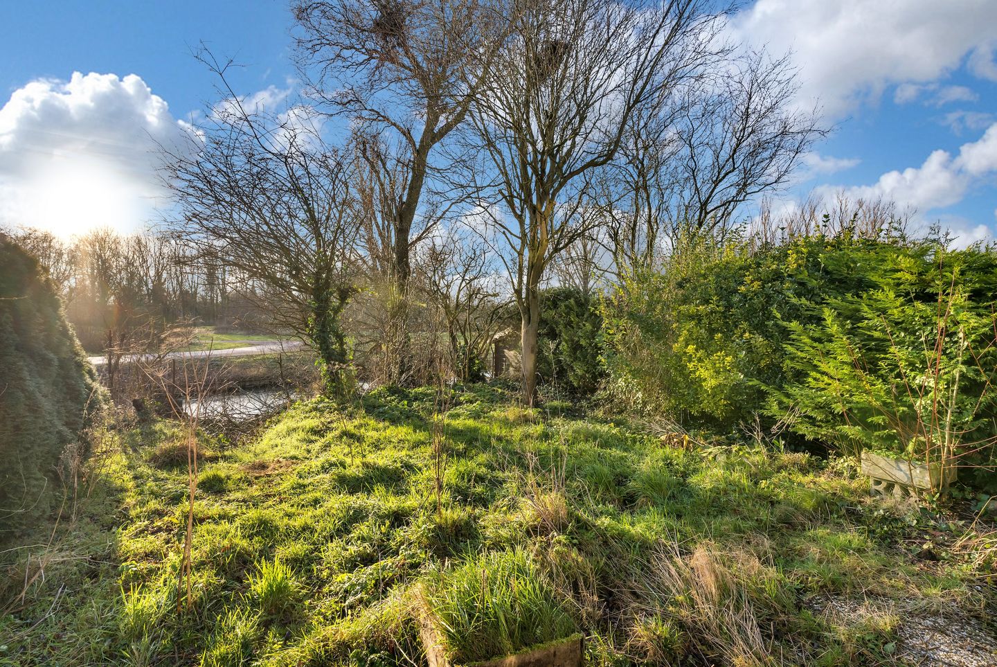 Foto 4 van Cornelia Schellingerlaan 14