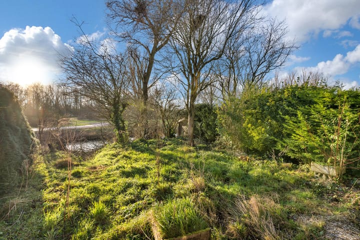 Foto 4 van Cornelia Schellingerlaan 14