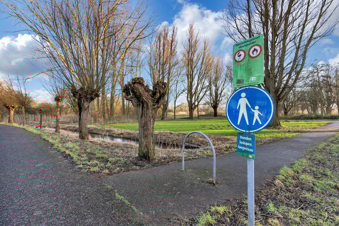 Foto 41 van Cornelia Schellingerlaan 14