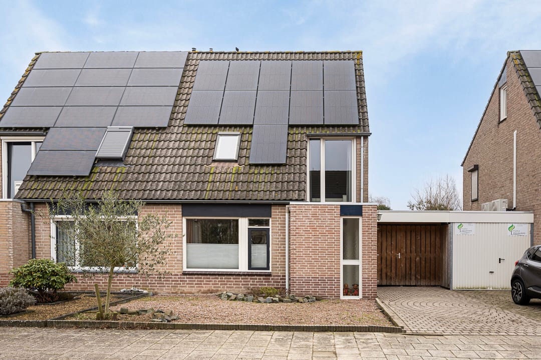 Foto 37 van Sabelmarter 10