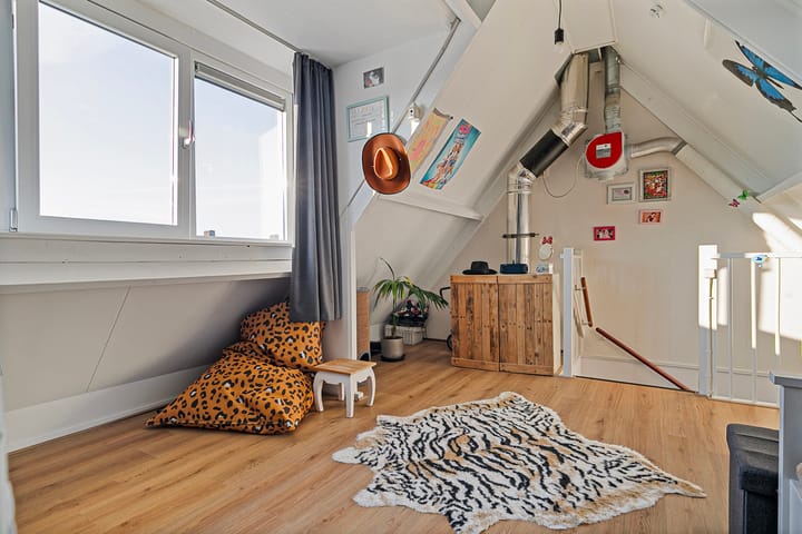 Foto 21 van Schoener 46 10