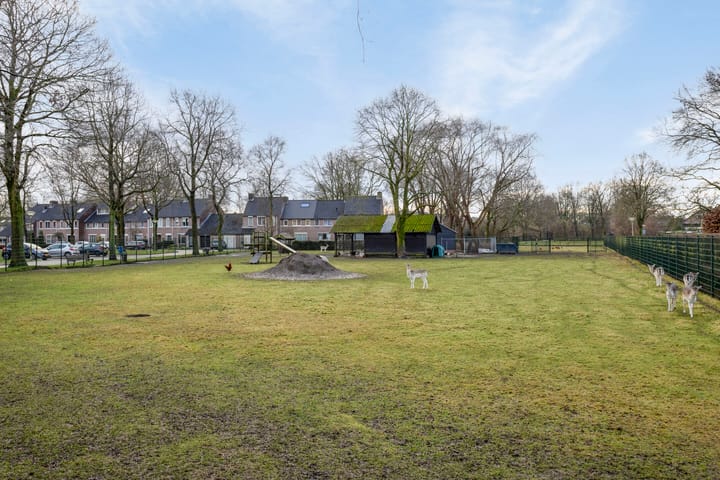 Foto 39 van het Bovenwiel 11