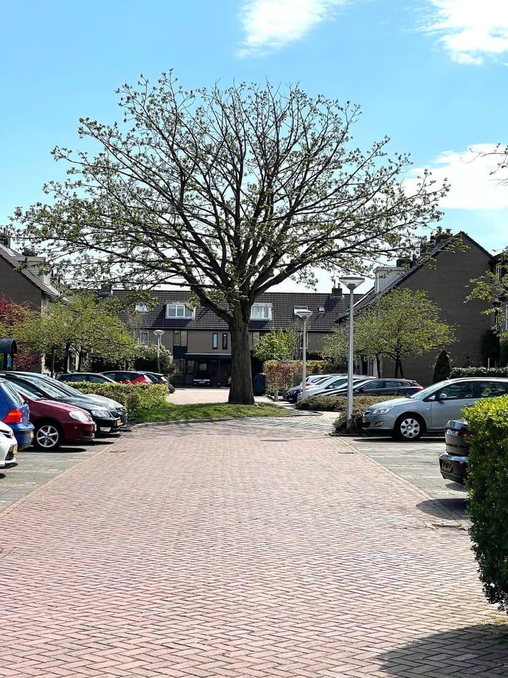 Photo 21 of Meerpaal 37