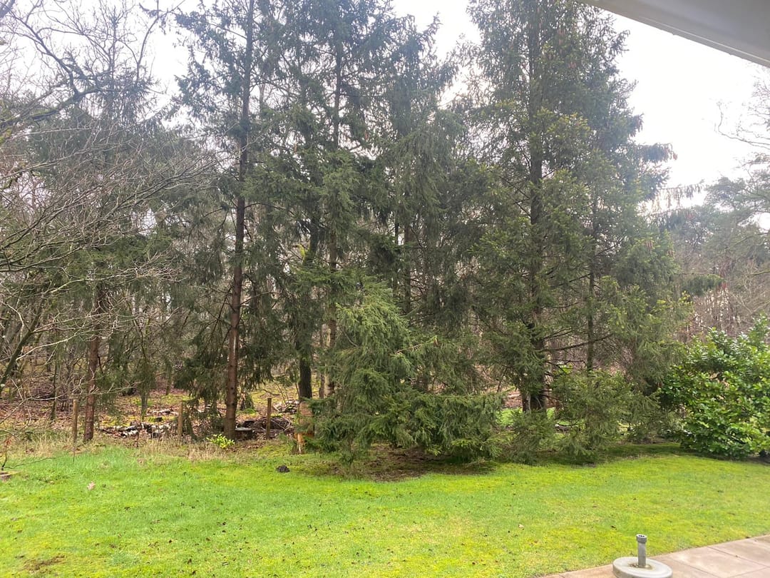 Foto 16 van Sanatoriumlaan 6-28