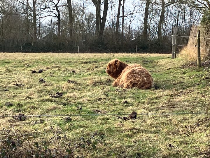 Foto 49 van Steenfabriek 25