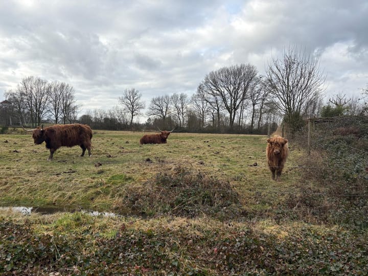 Foto 50 van Steenfabriek 25