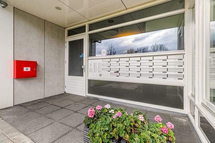 Foto 3 van Bosboompad 25