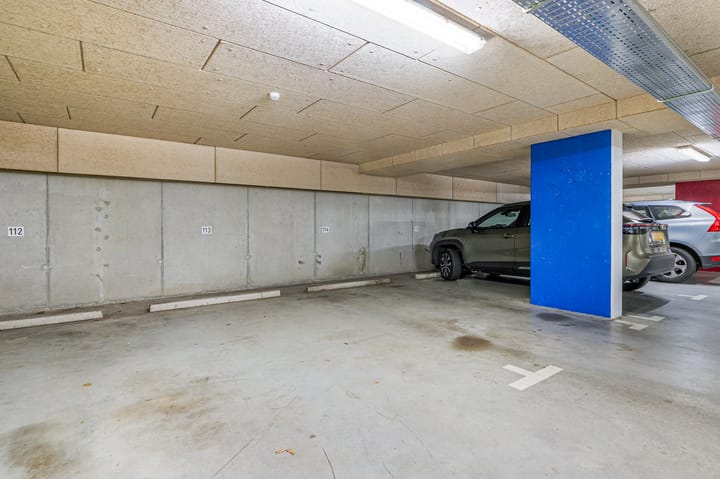 Foto 26 van Bosboompad 25