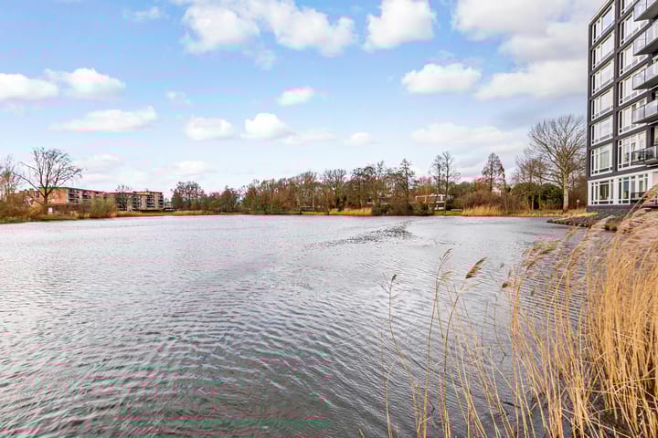 Foto 28 van Bosboompad 25