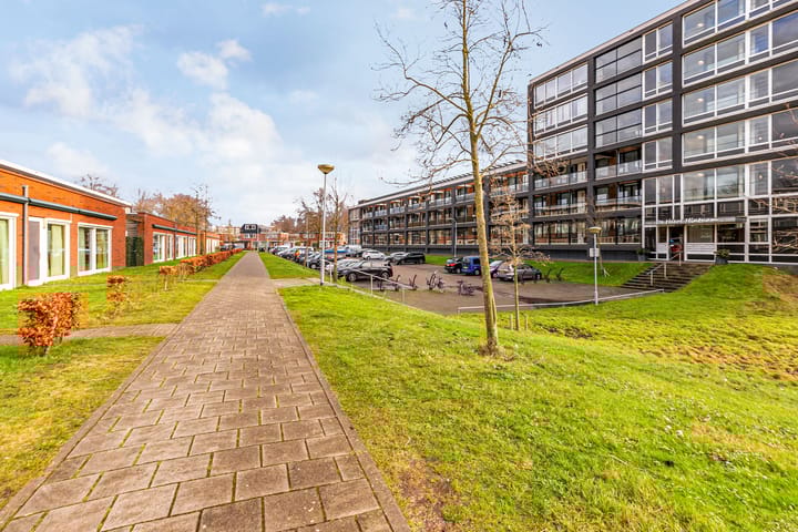 Foto 29 van Bosboompad 25