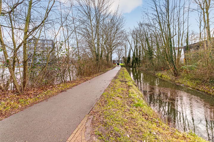 Foto 30 van Bosboompad 25