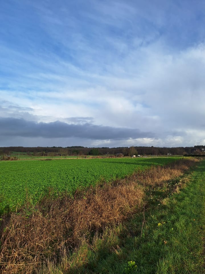 Foto 30 van Beatrixlaan 6