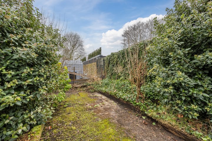 Foto 36 van Duizendschoonstraat 34