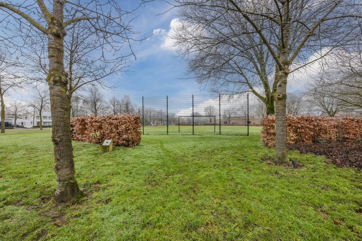 Foto 42 van Duizendschoonstraat 34