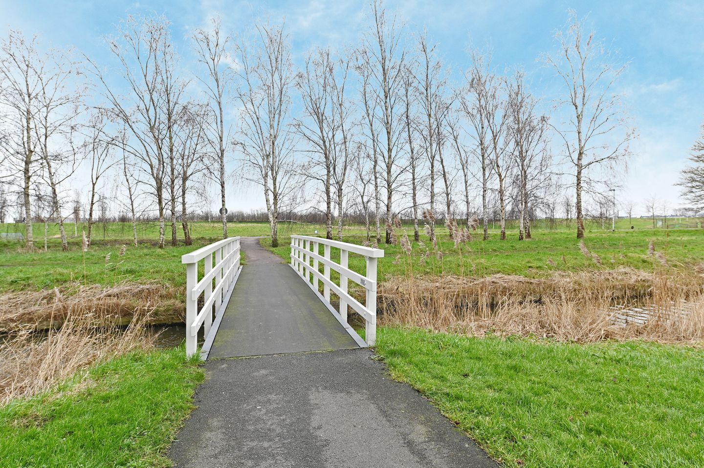 Photo 44 of Koegelwieckplantsoen 77