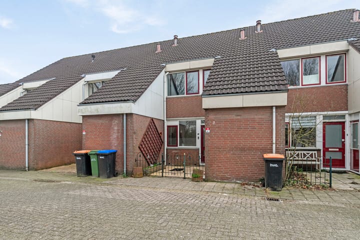 Foto 1 van Punter 12 41