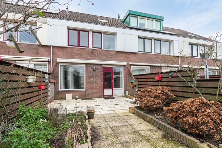 Foto 3 van Punter 12 41