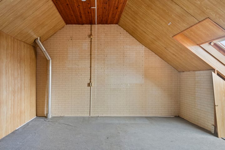 Foto 24 van Punter 12 41