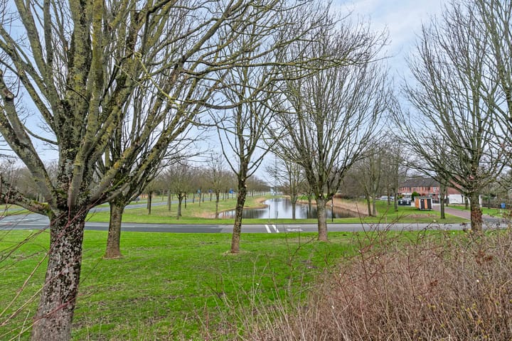 Foto 28 van Punter 12 41