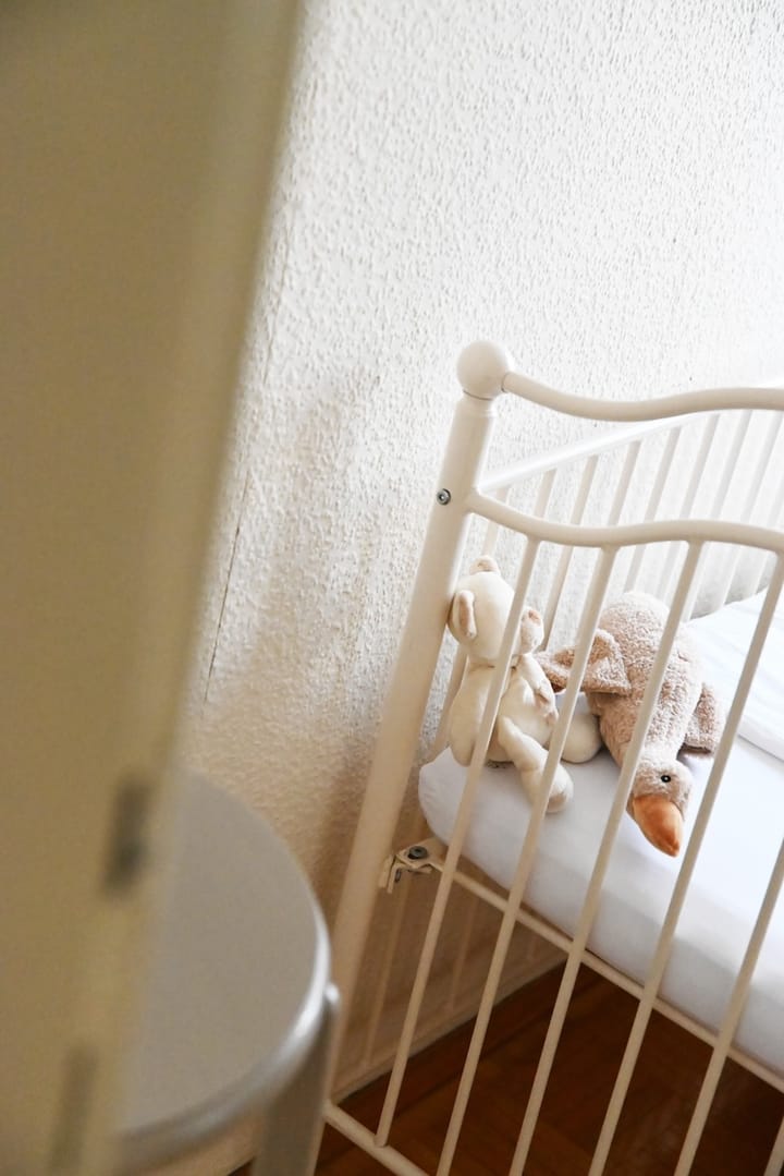 Foto 19 van Raadhuisstraat 24