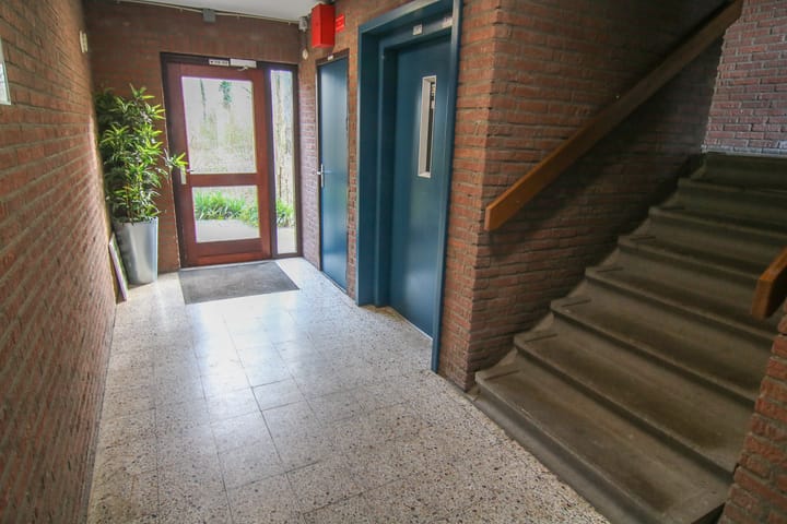 Photo 12 of Groenhof 112