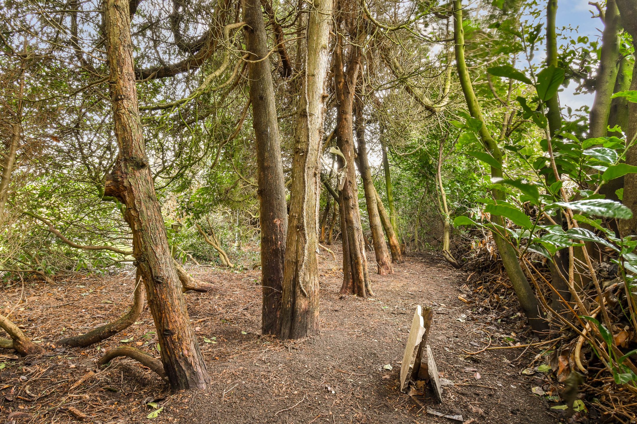 Foto 27 van Bloemhofweg 8