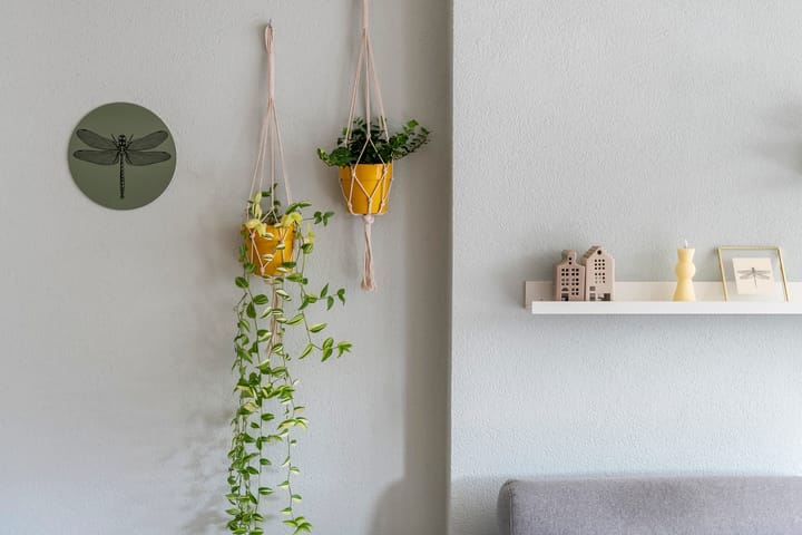 Foto 12 van Nehalenniastraat 2