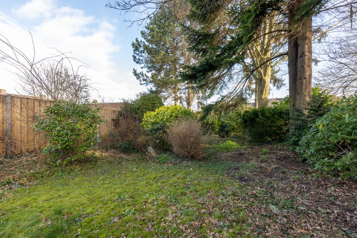 Foto 23 van Elisabeth van Barstraat 239