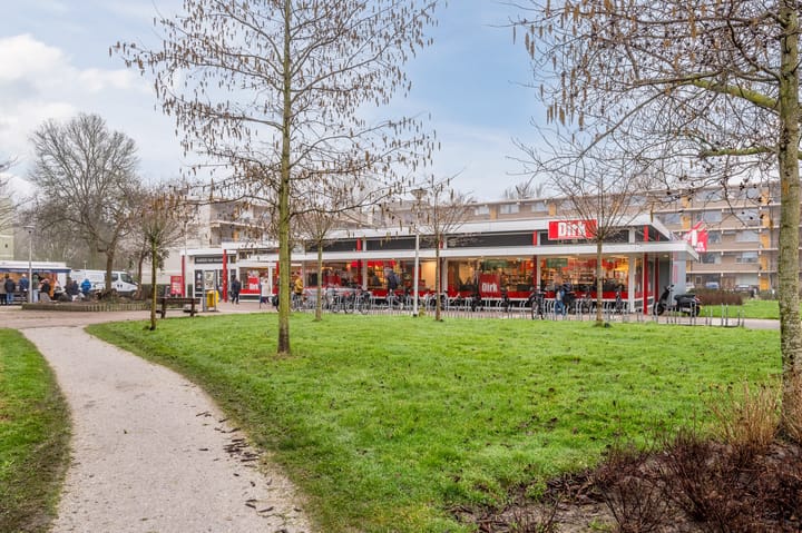 Foto 46 van Irisstraat 14