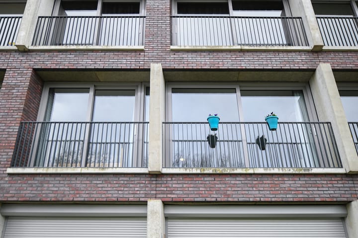 Foto 8 van Vrachelsedijk 157