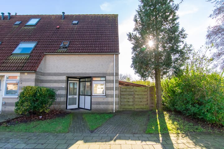 Foto 2 van de Hortensia 19