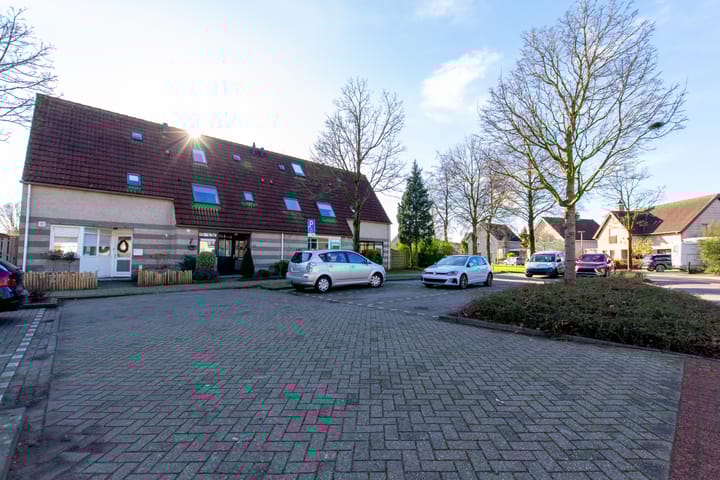 Foto 7 van de Hortensia 19