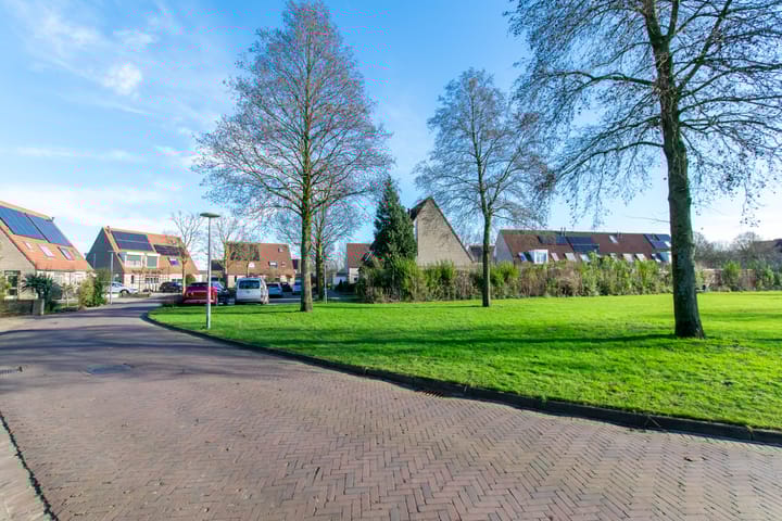 Foto 9 van de Hortensia 19