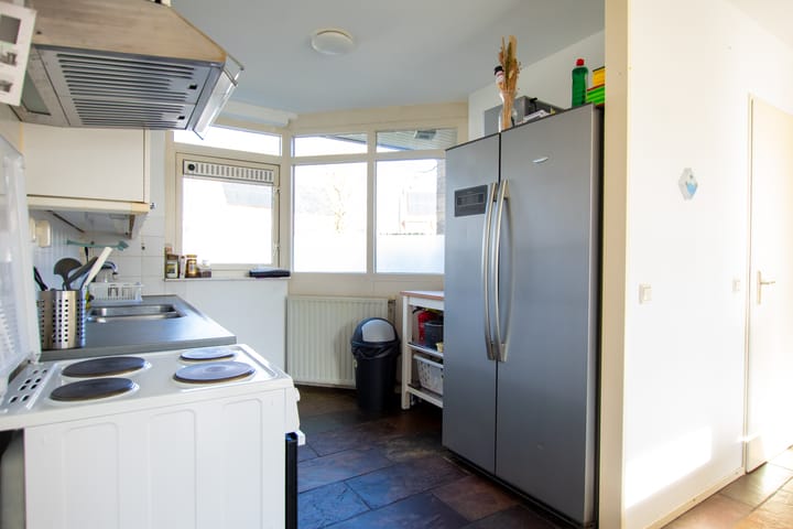 Foto 13 van de Hortensia 19