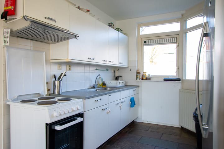 Foto 14 van de Hortensia 19