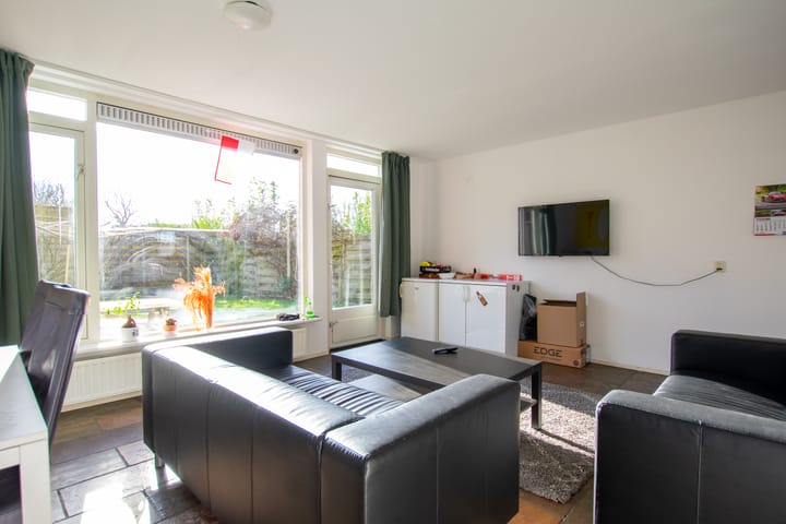 Foto 15 van de Hortensia 19