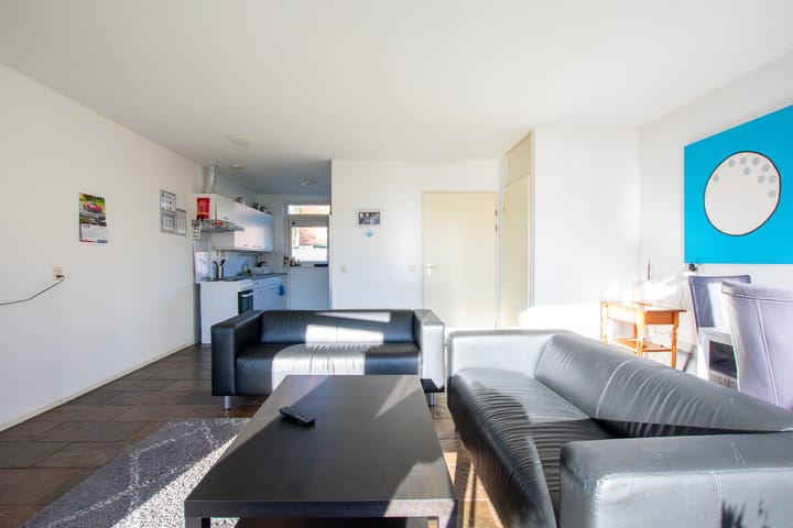 Foto 18 van de Hortensia 19